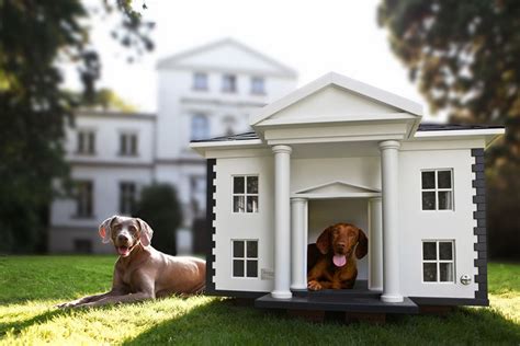 custom metal dog houses|custom luxury dog houses.